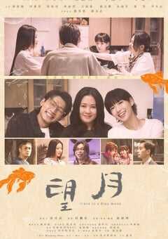 2023年中国香港剧情片《望月》HD粤语中字 4K网盘迅雷下载