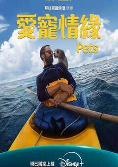 爱宠情缘