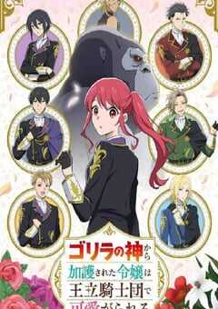 受到猩猩之神庇护的大小姐在皇家骑士团受到宠爱