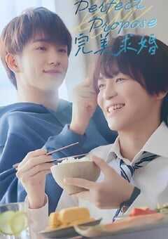 完美求婚