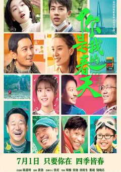 你是我的春天2022