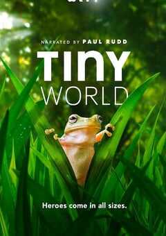 小小世界 第二季