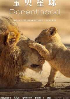 宝贝星球 中配版