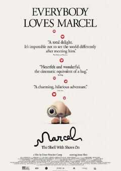 穿着鞋子的贝壳马塞尔