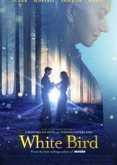 2023年美国传记片《白鸟：奇迹》BD中英双字 4K网盘迅雷下载