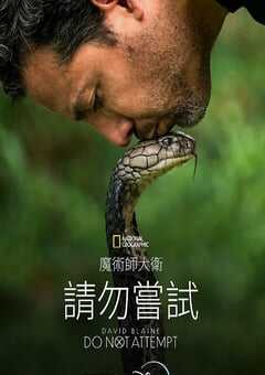 大卫·布雷恩:请勿尝试