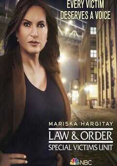 法律与秩序：特殊受害者 第二十二季