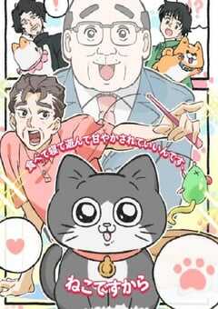 转生成猫的大叔