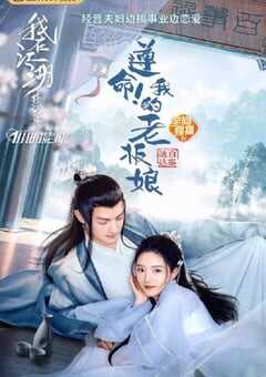 遵命!我的老板娘