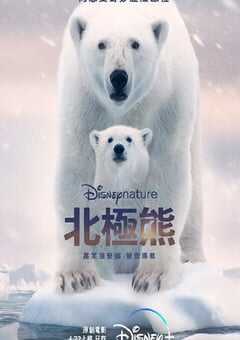 北极熊