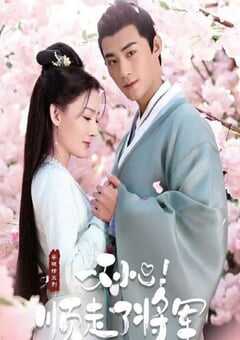 一不小心顺走了将军