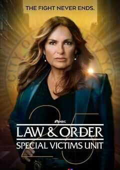 法律与秩序：特殊受害者 第二十五季