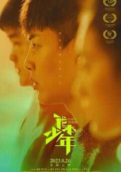 我本少年