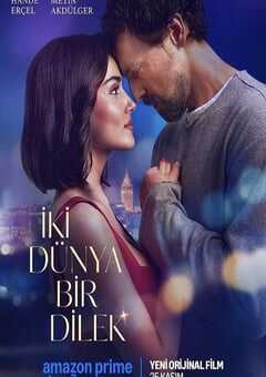 两个世界一个愿望