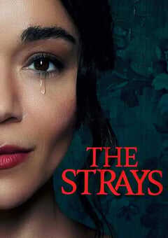 2023年英国惊悚片《流浪者》BD中英双字 4K网盘迅雷下载