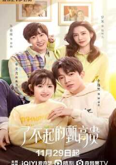 了不起的甄高贵