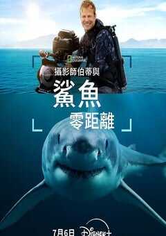 摄影师贝尔蒂与鲨鱼零距离