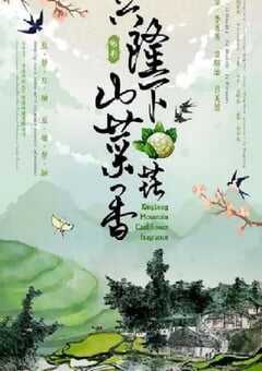 兴隆山下菜花香