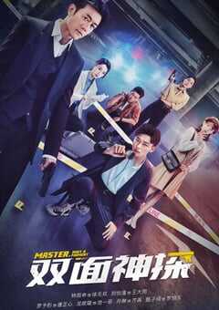 双面神探