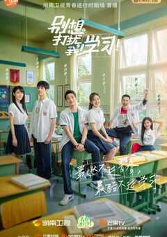 别想打扰我学习