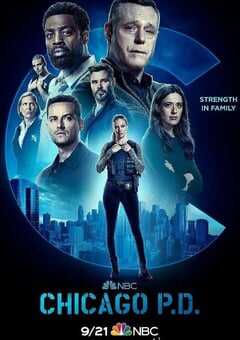 芝加哥警署 第十季