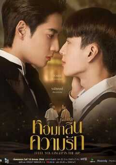 我感觉到你在空气中徘徊