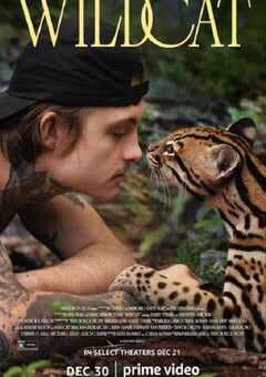 2022年美国纪录片《野猫》BD英语中字 4K网盘迅雷下载