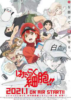 工作细胞 第二季