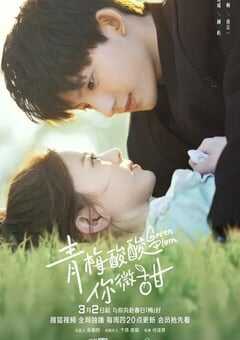 青梅酸酸你微甜