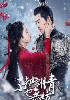 不知剧情也无妨