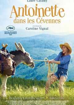 2020年法国6.8分喜剧片《塞文山脉的安东万》BD中英双字 4K网盘迅雷下载