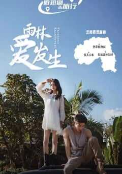 雨林爱发生