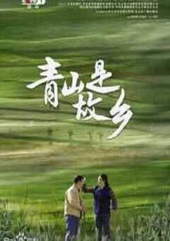 青山是故乡