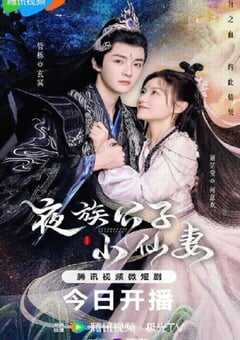 夜族公子小仙妻