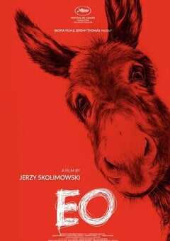 2022年波兰6.9分剧情片《驴叫》BD中英双字 4K网盘迅雷下载