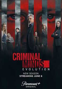 犯罪心理：演变 第十七季
