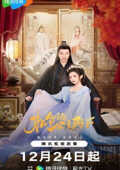 机智的公主殿下