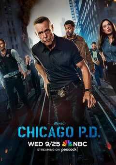 芝加哥警署 第十二季