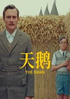 天鹅2023