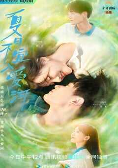 夏日不宜入爱河