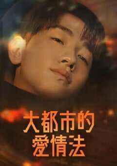 2024年韩国电视剧《大都市爱情法》全8集 4K网盘迅雷下载