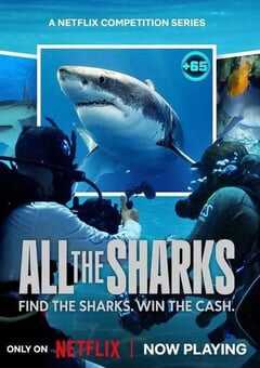 众里寻鲨：拍摄大作战