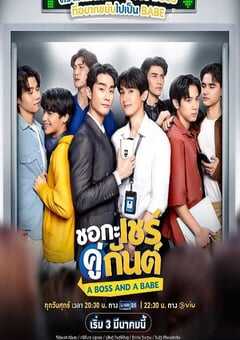 我的亲亲老板宝贝