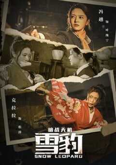 雪豹之暗战天机