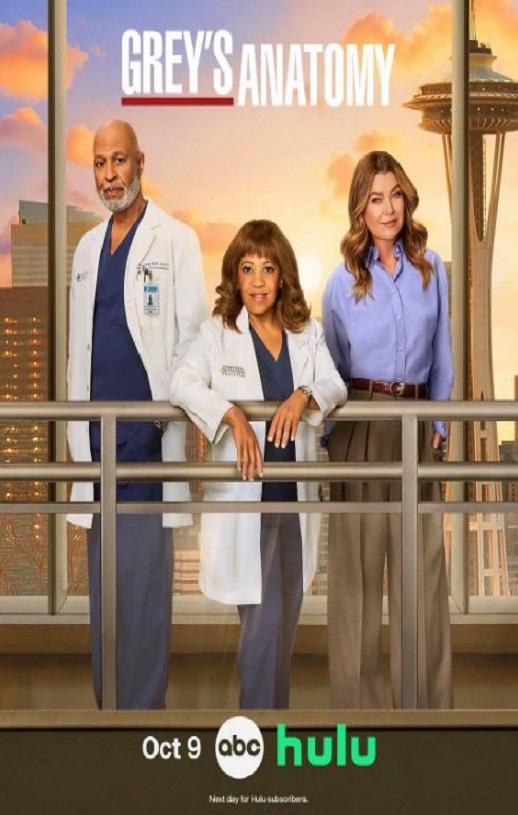 实习医生格蕾 第二十二季