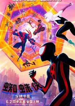 蜘蛛侠：纵横宇宙