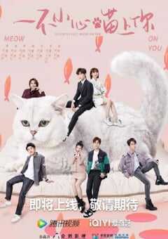 一不小心喵上你