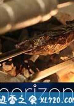 地平线系列: 绿色畜牧