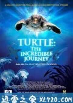 海龟奇妙之旅 Turtle: The Incredible Journey (2009) 4K网盘迅雷下载