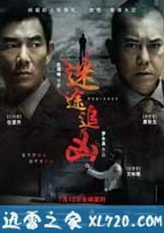 迷途追凶
